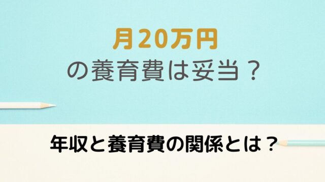 20万円の養育費と年収