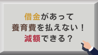 借金があって養育費を払えない
